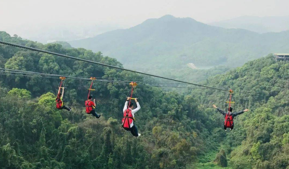適合森林公園的游樂(lè )項目叢林滑索——簡(jiǎn)單好玩，成本還低